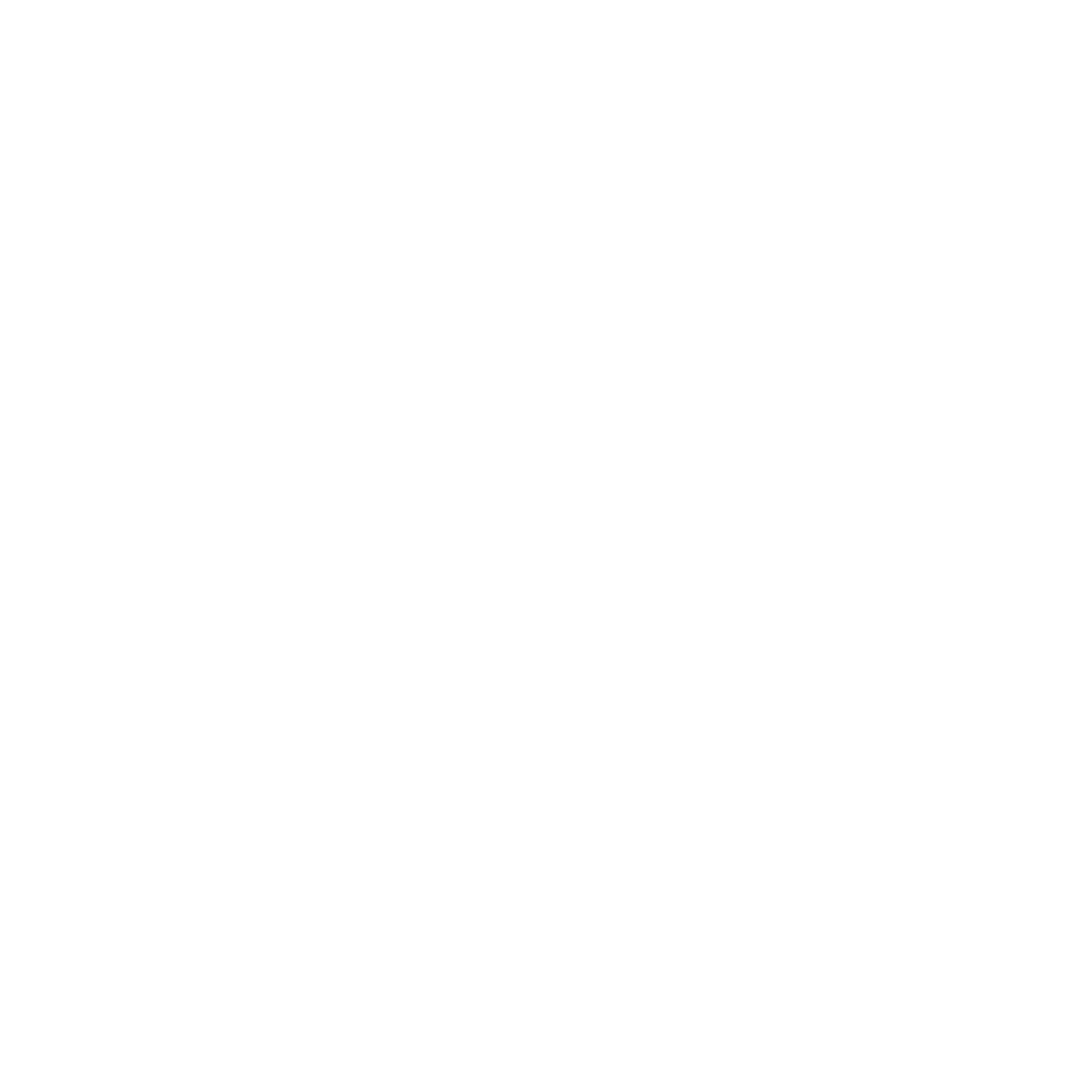 2N1T3
